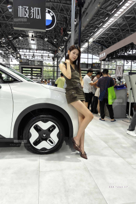 极狐气质美腿车模